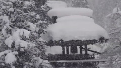 日本冬季的雪景