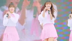 OH MY GIRL - LIAR LIAR