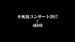 "美空ひばり生誕80周年特別企画in東京ドーム不死鳥コンサート2017"AKB48 留言短片