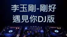 刚好遇见你 DJ版