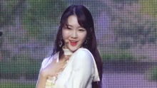Windy Day（live）