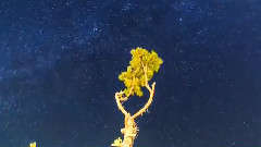 繁星闪烁的夜空