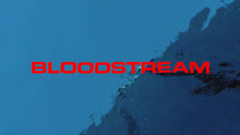 Bloodstream