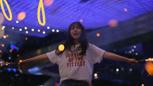 Fly away