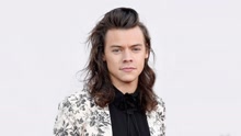 Harry Styles - Harry Styles新专辑纪录片