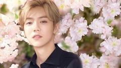 L'OCCITANE x LUHAN鹿晗 樱你而真 欧舒丹甜蜜樱花系列 真心语"鹿"