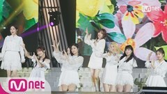 现在,我们 - KCON 2017 Japan 现场版 17/05/25