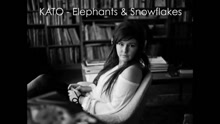 Elephants & Snowflakes (Lyric Video)