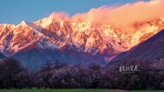 迷失在西藏 Lost in Tibet