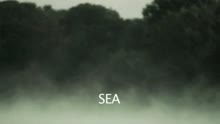 Sea (Making-of)