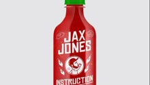 Demi Lovato & Stefflon Don & Jax Jones - Instruction 试听版