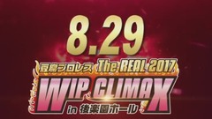 AKB48 "豆腐プロレス The REAL 2017 WIP CLIMAX"開催告知