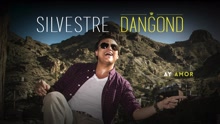 Silvestre Dangond - Ay Amor (Cover Audio)