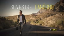 Silvestre Dangond - La Loca (Cover Audio)