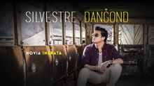 Silvestre Dangond - Novia Ingrata (Cover Audio)