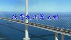 欣赏杭州湾大桥