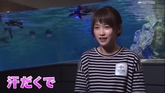 川栄李奈,水族館の飼育員に挑戦