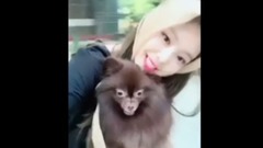 JENNIE的宠物狗