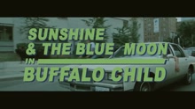 Sunshine & the Blue Moon - Buffalo Child