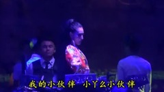 我的小伙伴(DJ版)