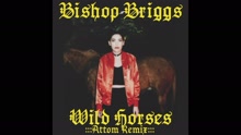 Bishop Briggs - Bishop Briggs - Wild Horses