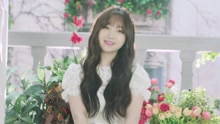 Lovelyz Summer Concert Alwayz Teaser2