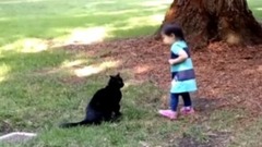 Ferocious Cats Funny Cat Video Compilation 2017