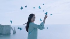 Dream Catcher - Fly high