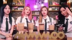 MAMAMOO ZANY TV 跟南美粉丝的Q&A EP2