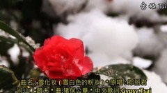 雪化妆