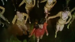 Jiyara 印度电影<王子>插曲1 饭制版