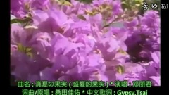 盛夏的果实