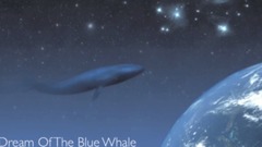 蓝鲸之梦 Dream Of The Blue Whale