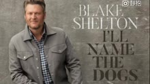 Blake Shelton - I'll Name The Dogs 试听版