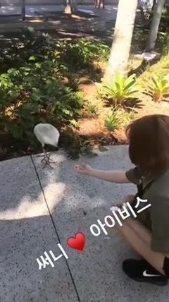 Sunny&孝淵在公園餵食鳥 @IG Story 17/09/07