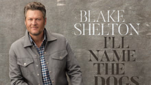 Blake Shelton - I'll Name The Dogs