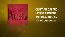 La Malquerida (Cover Audio)