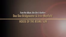 House of the Rising Sun - Commentary