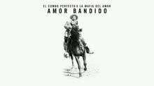 Amor Bandido (Audio)