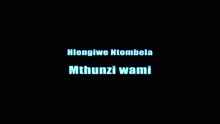 Joyous Celebration - Mthunzi Wami