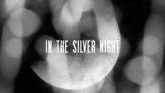 Silver Night