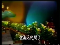 金盏花