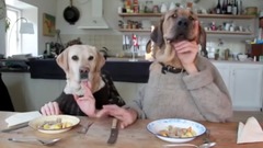TWO DOGS DINING