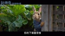 《彼得兔》中文字幕版