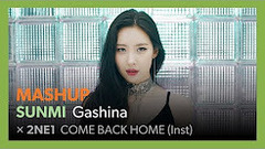 2NE1,宣美(Wonder Girls) - Gashina&COME BACK HOME混音