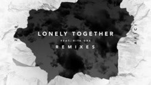 Alan Walker - Lonely Together Remix版
