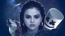 Selena Gomez & Marshmello - Wolves