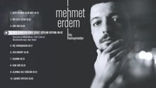 Mehmet Erdem -