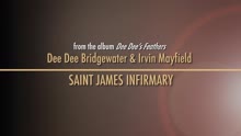 Saint James Infirmary - Commentary