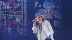 Acid Black Cherry - 冬の幻